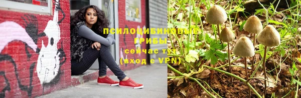 не бодяженный Абаза