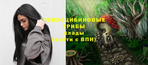 спайс Абинск